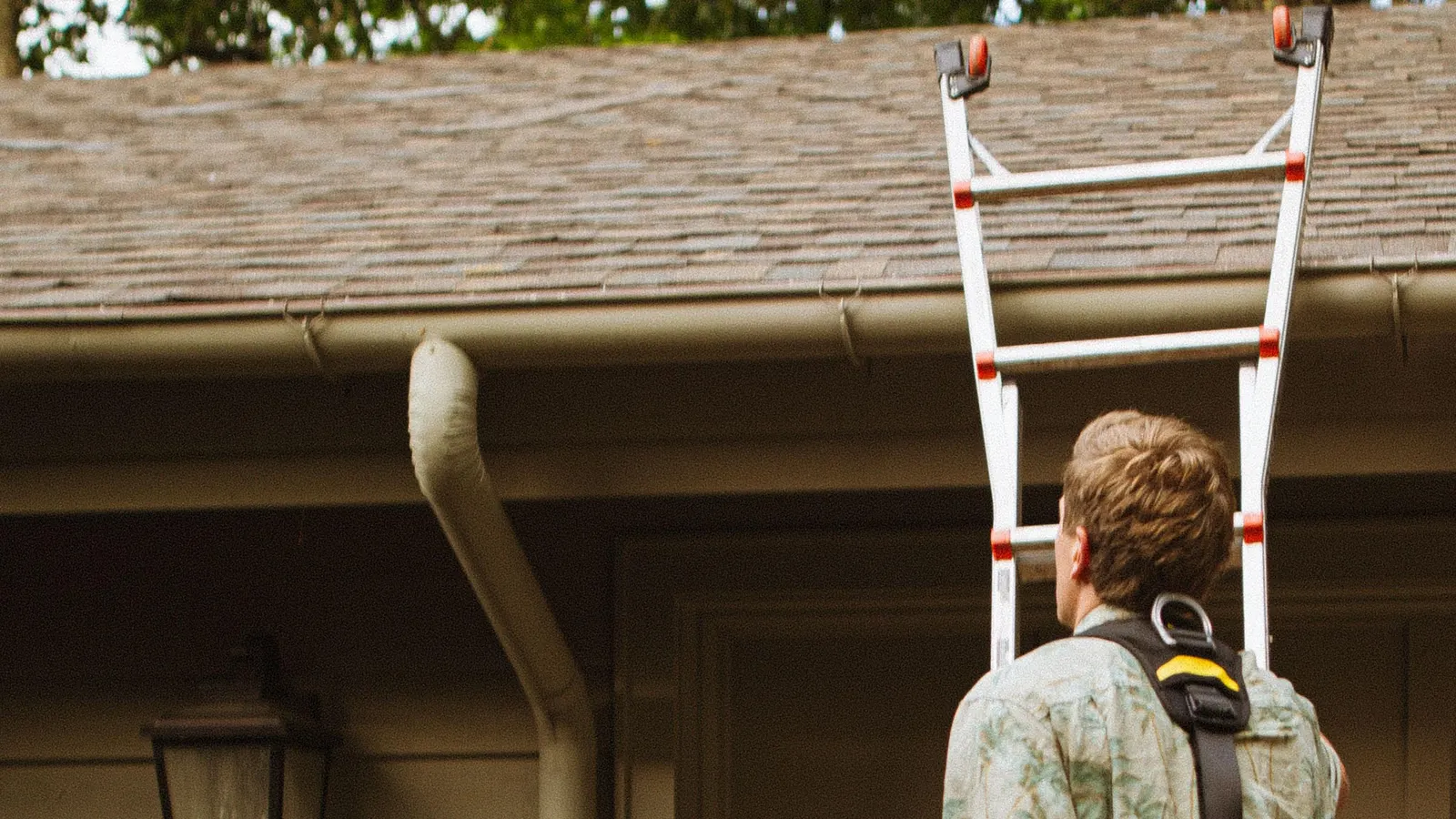 A worker in a safety harness, seen from behind, climbs an extension ladder set against the gutter of a wood-sided house with an asphalt-shingle roof