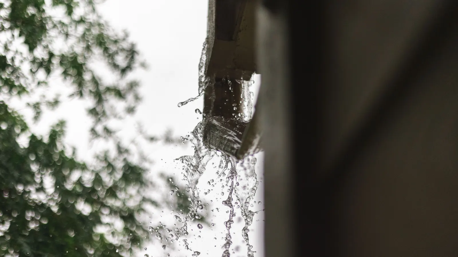 Rainwater gushing out of the end of a rain gutter during a heavy downpour, with blurred trees behind