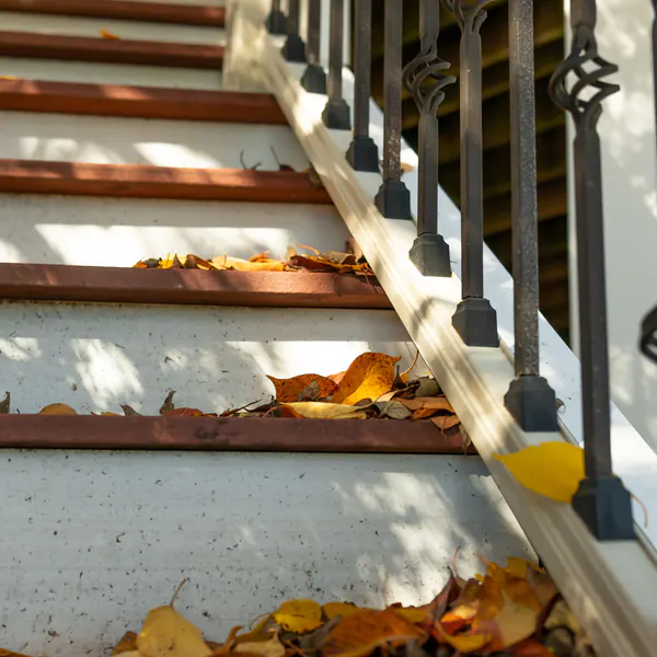 Outdoor stairs with an iron railing and fallen leaves on the treads