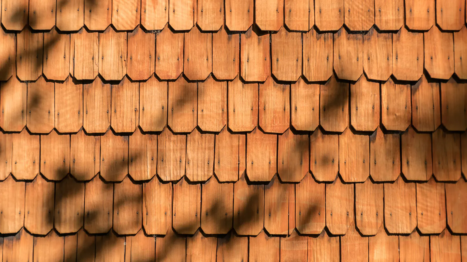 Rows of warm orange wood shingles with rounded edges on a wall, dappled leaf shadows falling across them