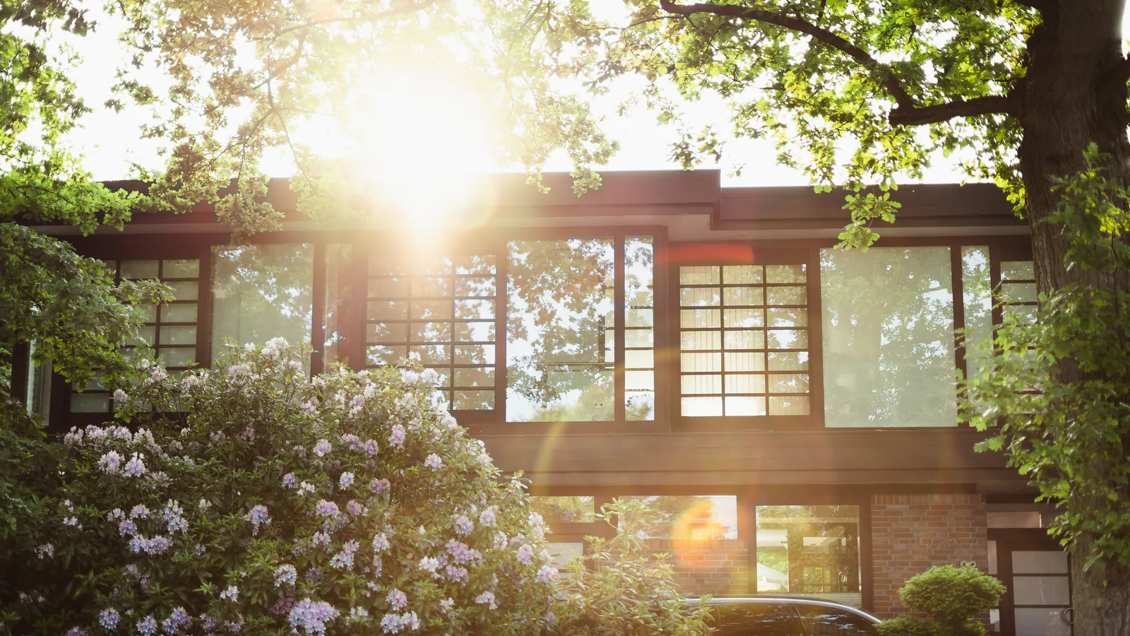 A mid century post and beam house with tall glass walls in low sun