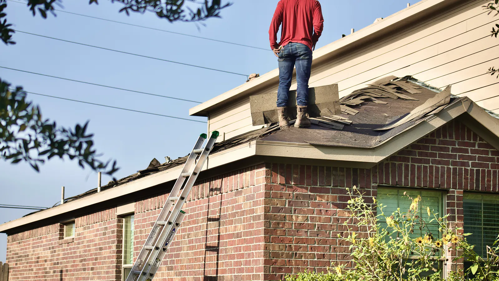 A person in a red shirt and jeans standing on a damaged asphalt shingle roof of a brick house, facing away, with a ladder against the eave