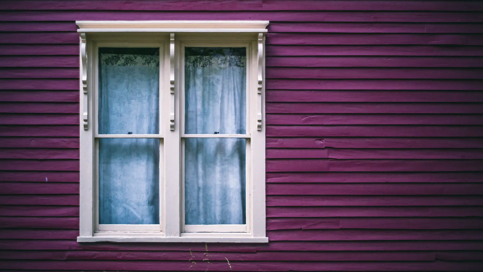 A white wooden window with curtains framed by trim against bold purple horizontal lap siding, showing where the casing meets the boards.
