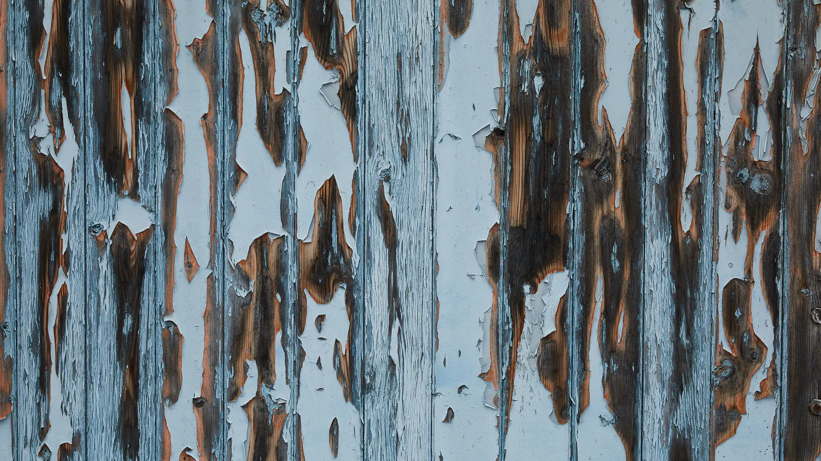 Blue paint peeling in strips off weathered wood