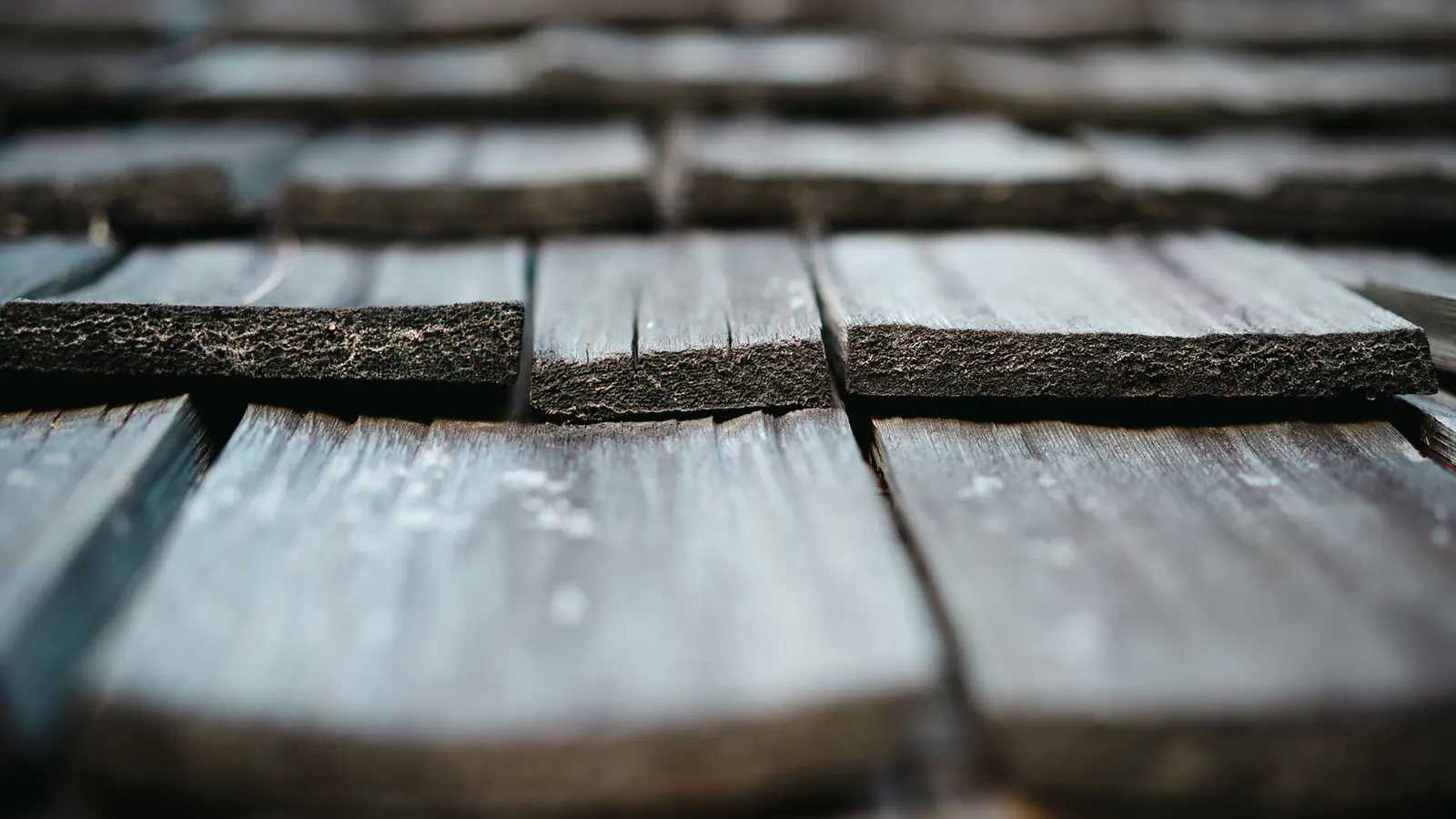 Close-up of weathered gray wood shingles in overlapping rows, with split edges and worn grain in soft light