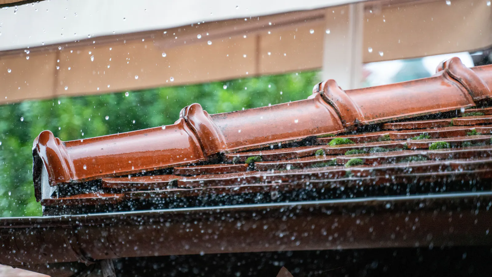 Rain falling on terracotta roof tiles and a gutter along the eave, with water droplets catching the light against green trees