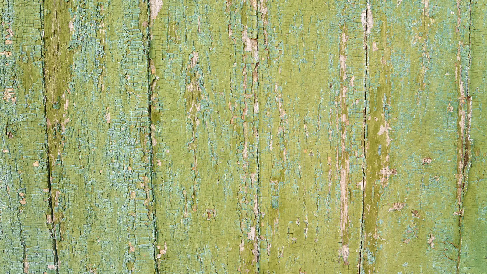 Close view of vertical wood boards with cracked, flaking green and teal paint over pale bare wood