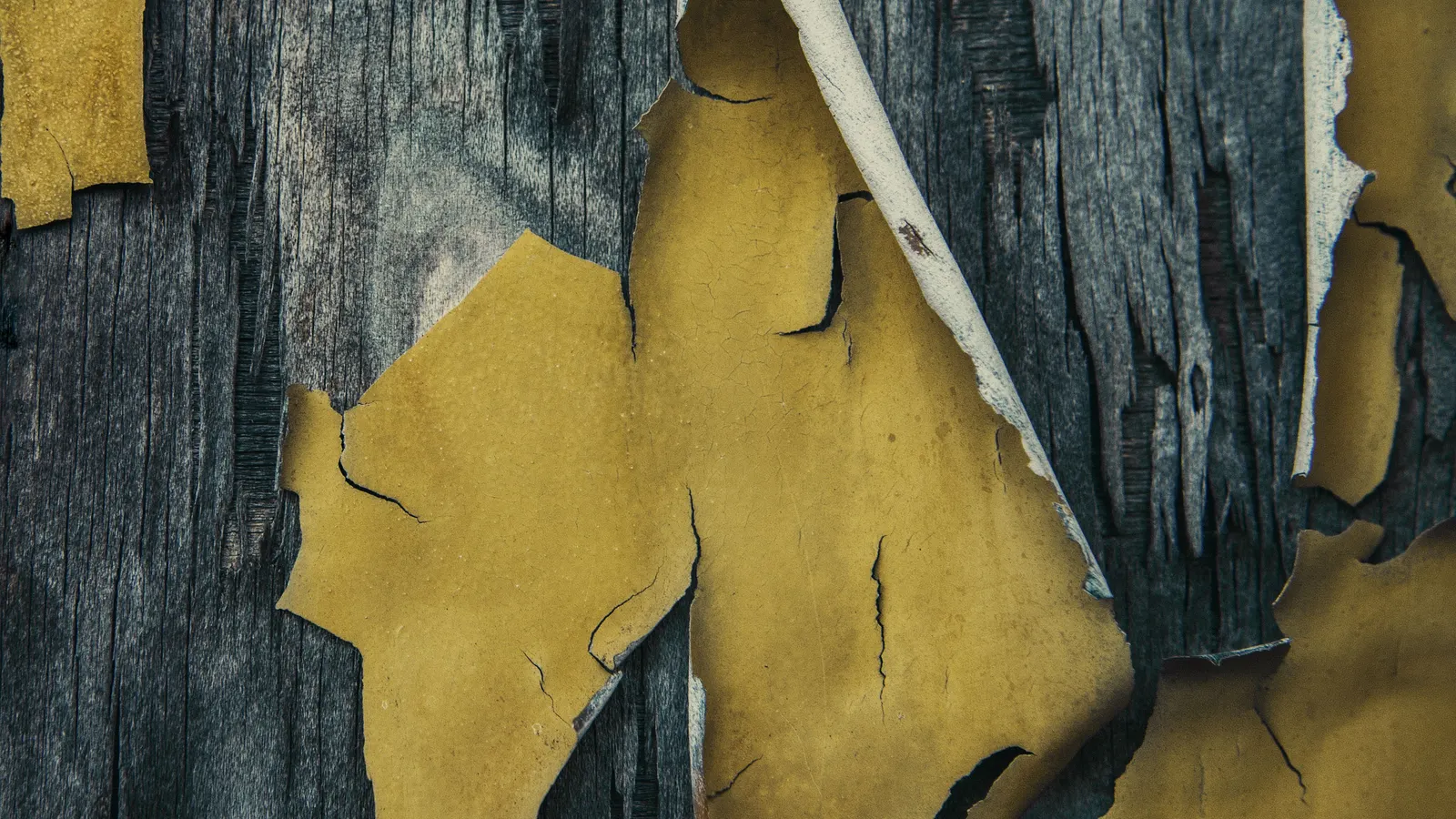 Sheets of yellow paint curling away from gray, weathered wood