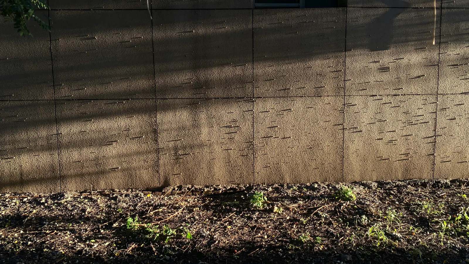 A bare soil planting bed with small weeds running right up against the base of a panelled house wall, lit by low warm sunlight