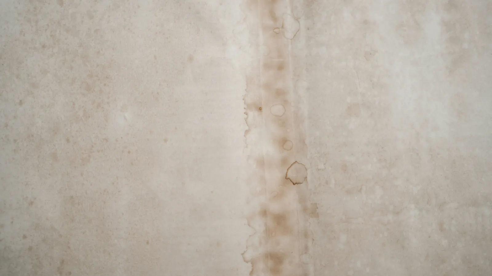Close view of a pale wall with a brown water stain running down it in a vertical streak, edged with dried tide-line rings