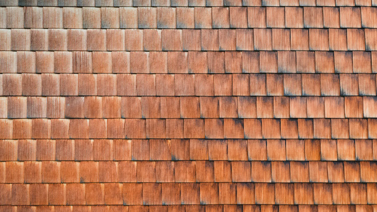A sunlit wall of reddish-brown rectangular shingles with even color and visible wood texture across many tidy courses