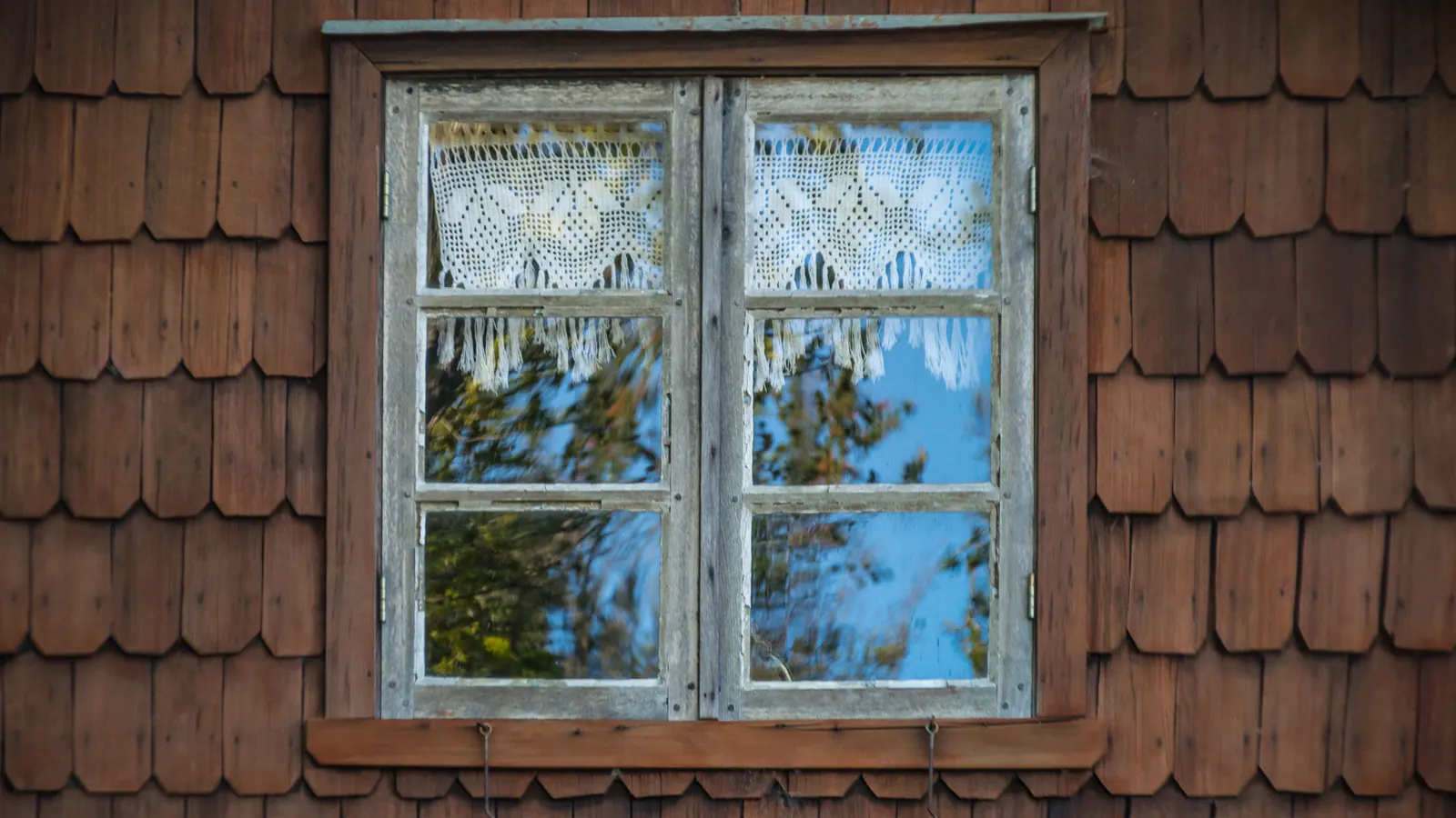 A wall of rich reddish-brown stained wood shingles in daylight, framing a weathered wooden window with lace curtains behind the glass