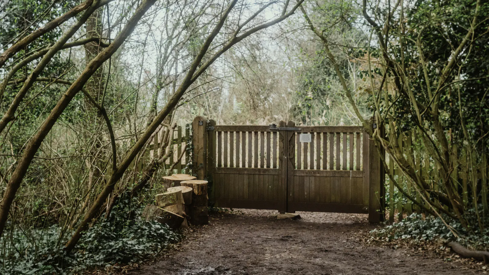 A wooden double gate in a fence under bare trees