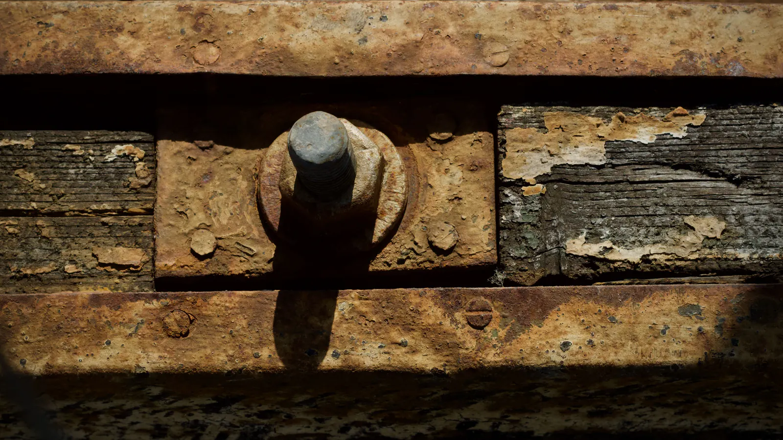 Close-up of a rusty bolt and steel plate fastened through weathered timber boards with flaking paint, lit by low warm sun.