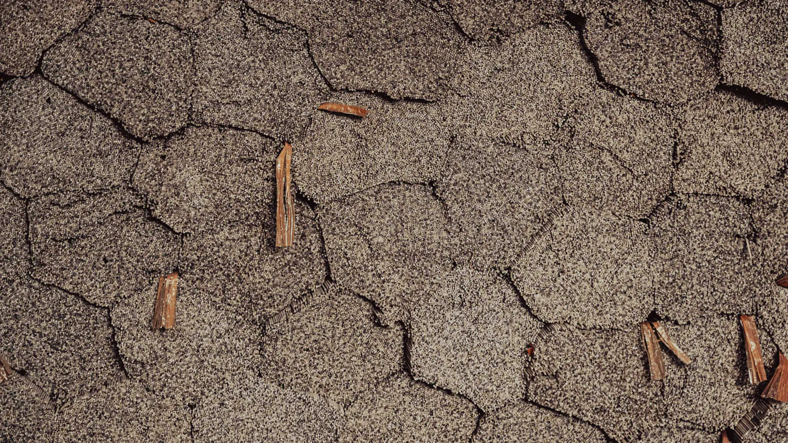 Weathered asphalt shingles with worn granules and visible cracks running across the tabs, scattered with small broken twigs and bits of wood debris.