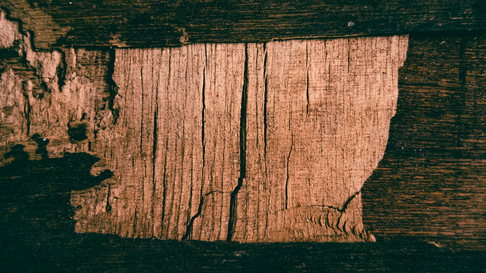 Dark, water-stained plywood with its top veneer peeled away in a large patch, exposing cracked, lighter wood layers underneath.