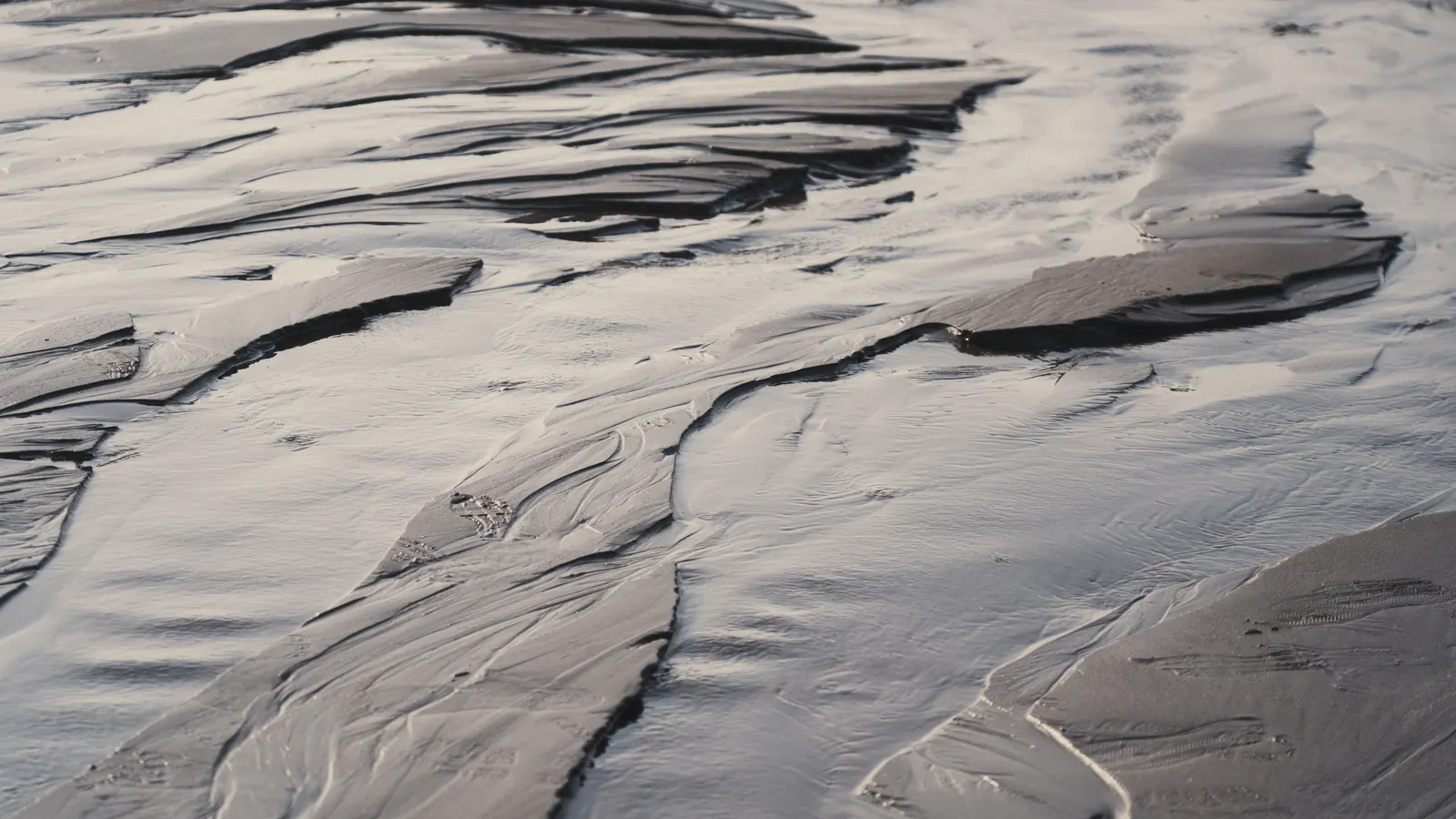 Close-up of a layer of wet gray silt and mud with shallow rivulets of water running across its surface