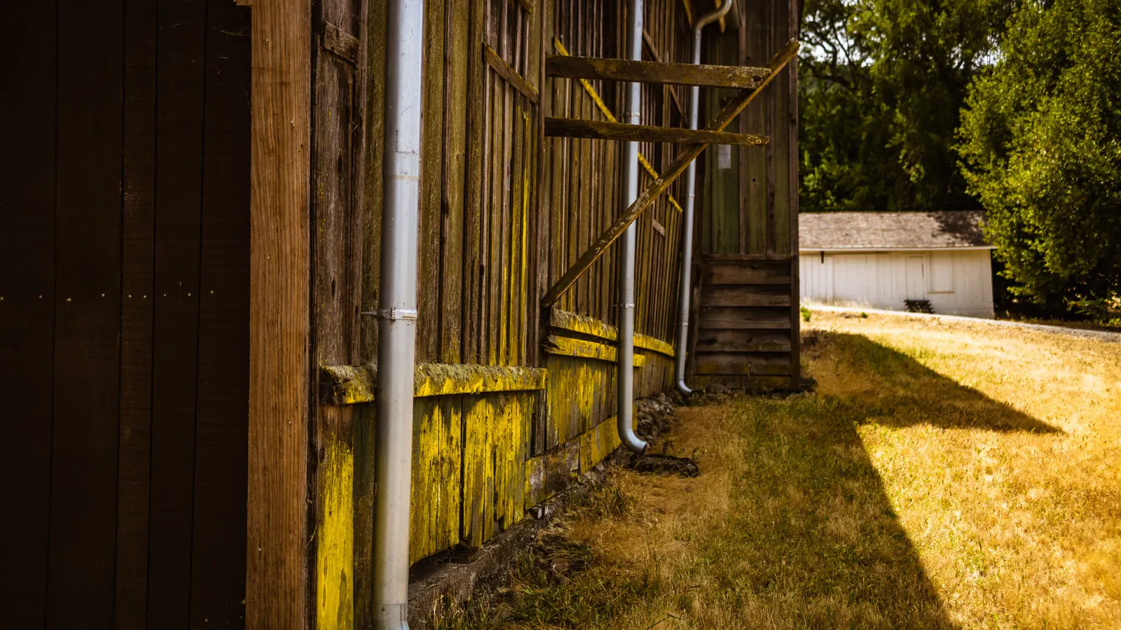 White downspouts running down the weathered wood wall of an old barn beside a sunlit lawn