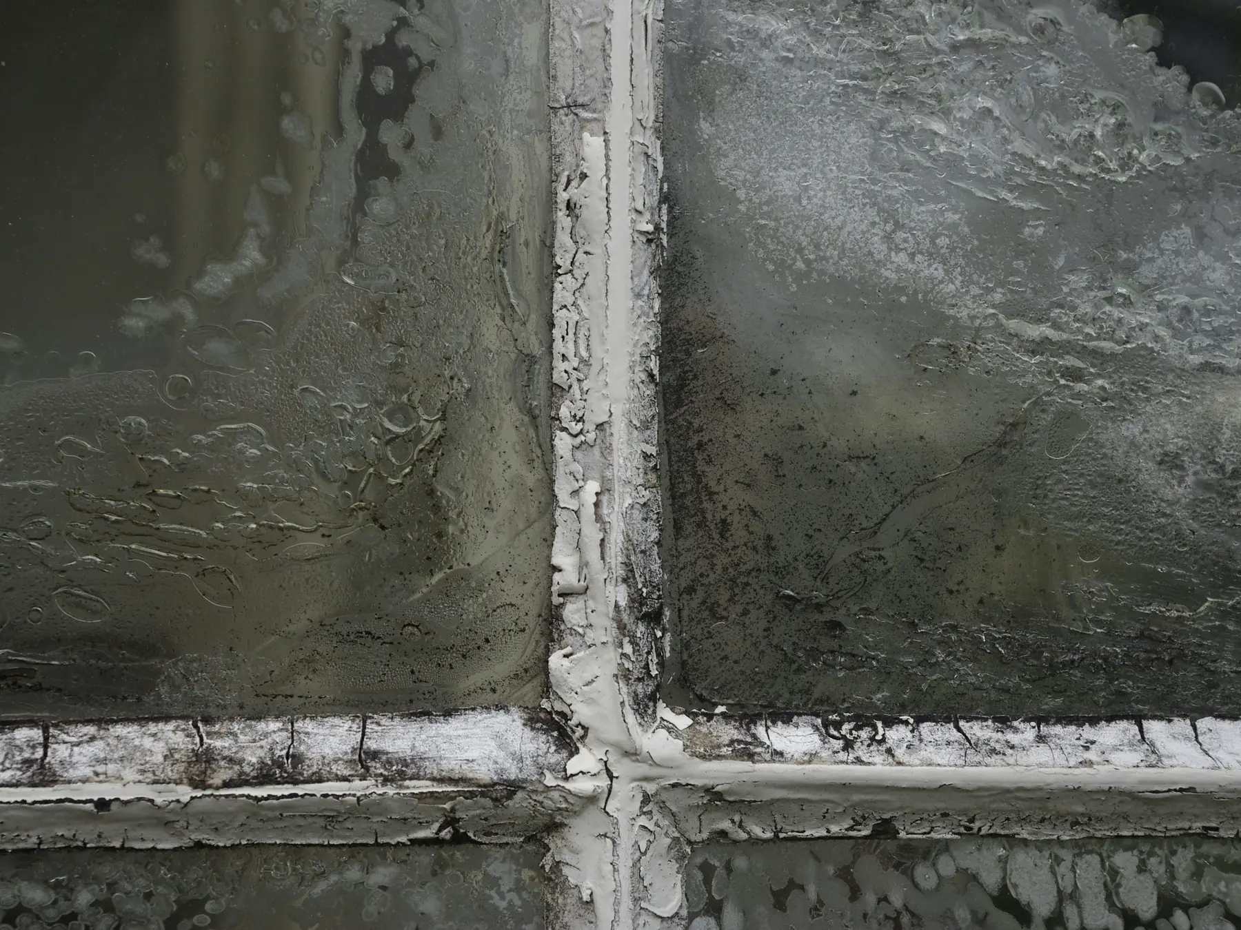 Cracked white glazing and paint on a window muntin, condensation on the panes