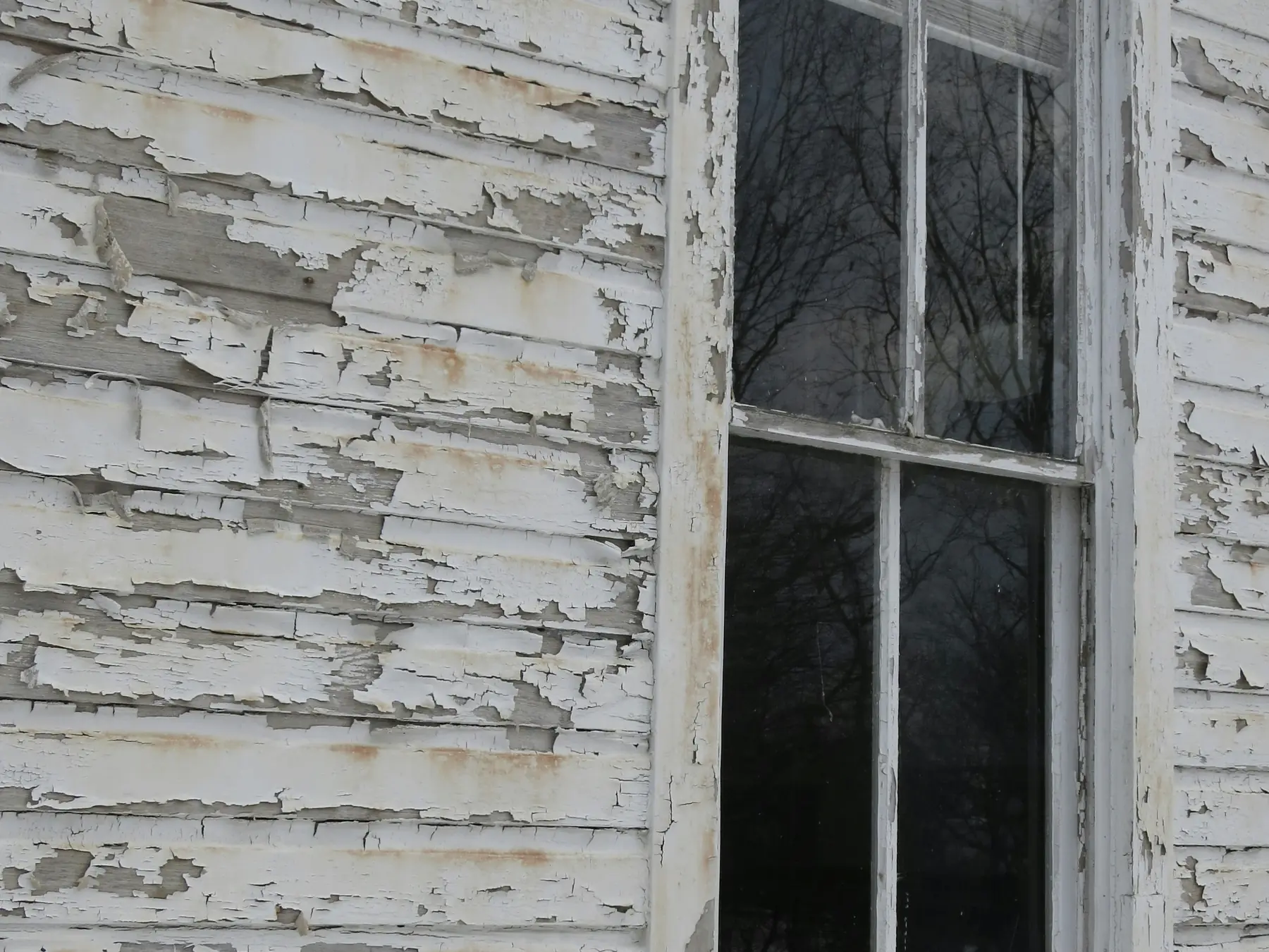 White clapboard siding and window trim with paint peeling away in large flakes