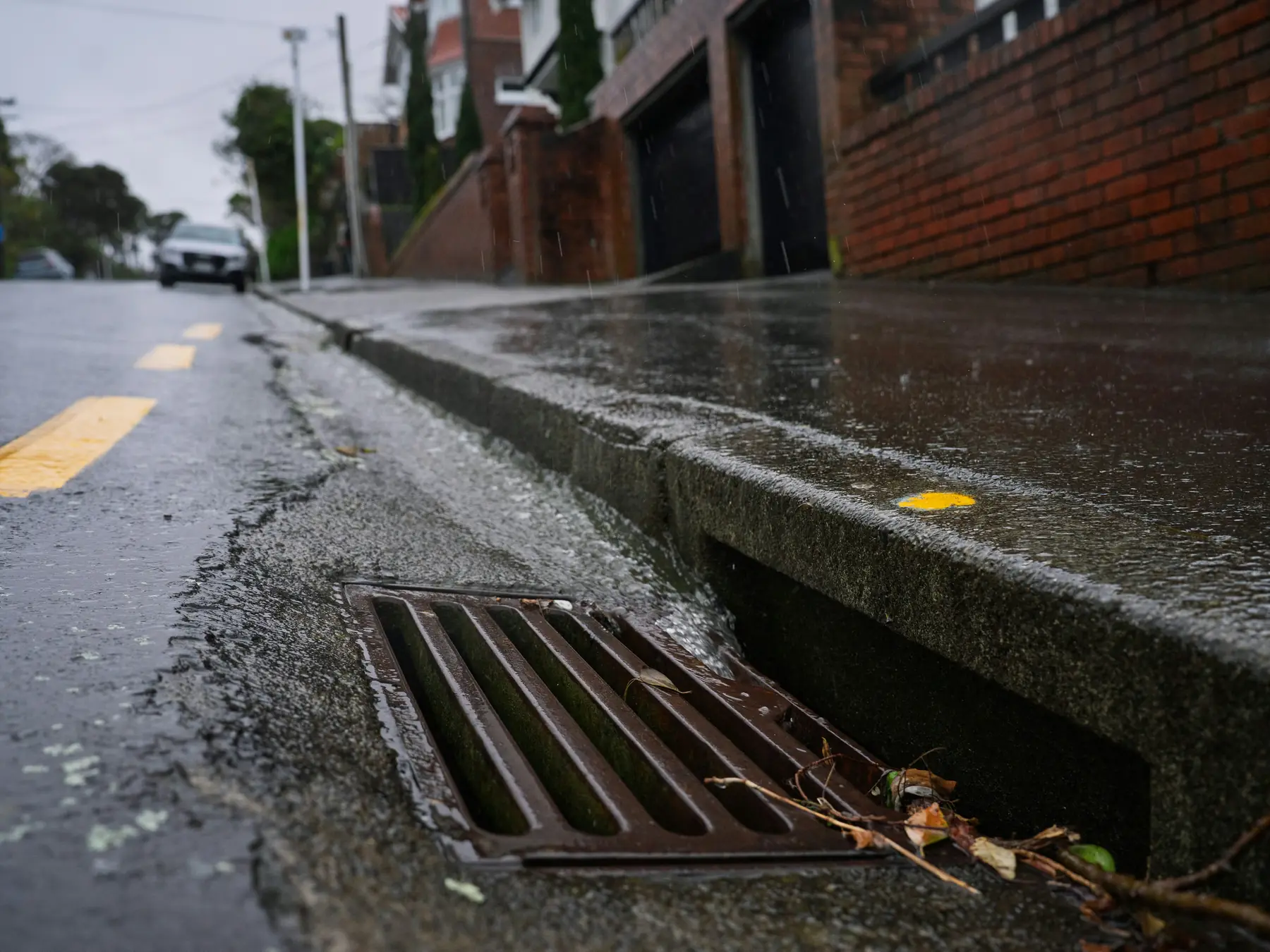 Rainwater running along a curb into a street drain grate, twigs caught at its edge