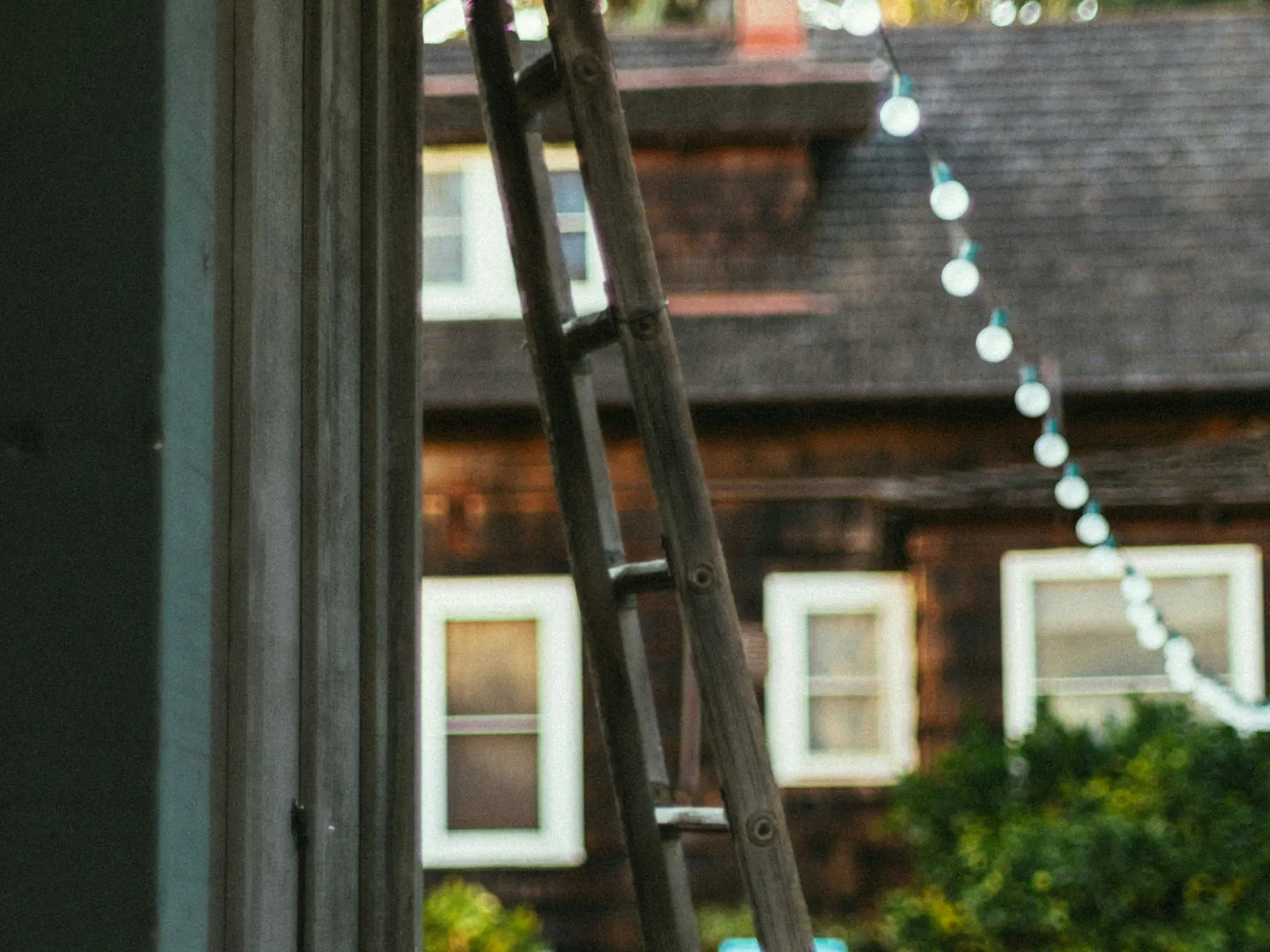 A wooden ladder leaning against an eave, a brown shingled house with white windows behind
