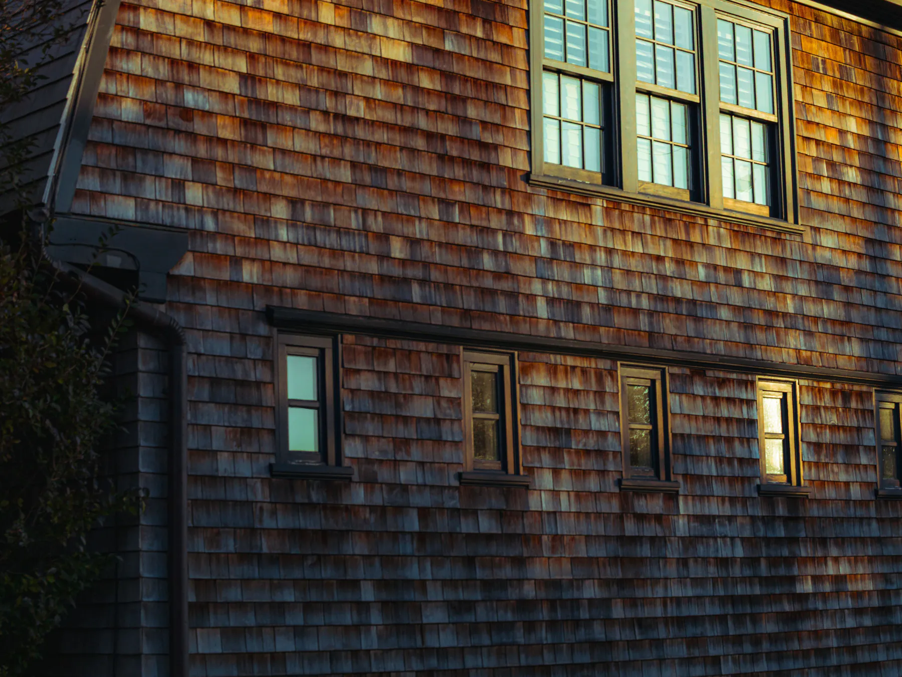 Cedar shingle siding warmed by evening sun, with dark green-framed windows