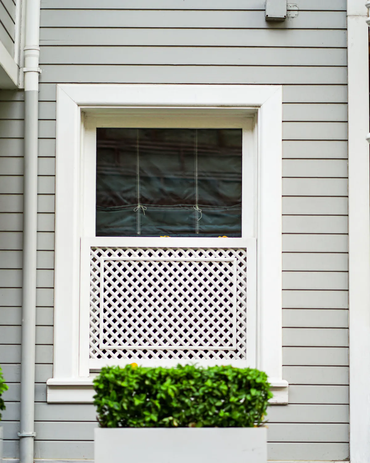 Grey lap siding around a white-cased double-hung window with a lattice panel and a clipped boxwood in a planter below