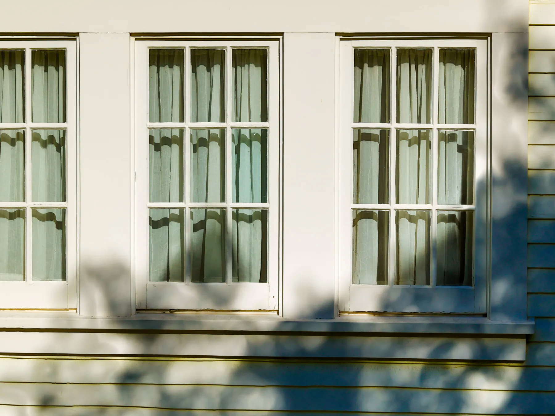Three white divided-light windows in a row on cream lap siding, tree shadows across the wall