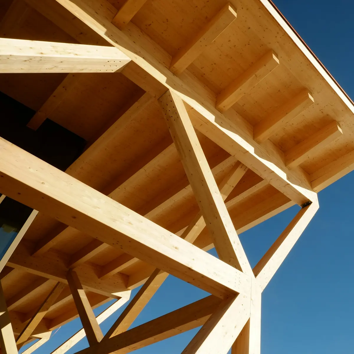 Bare wood rafters and roof boards at an eave against a blue sky