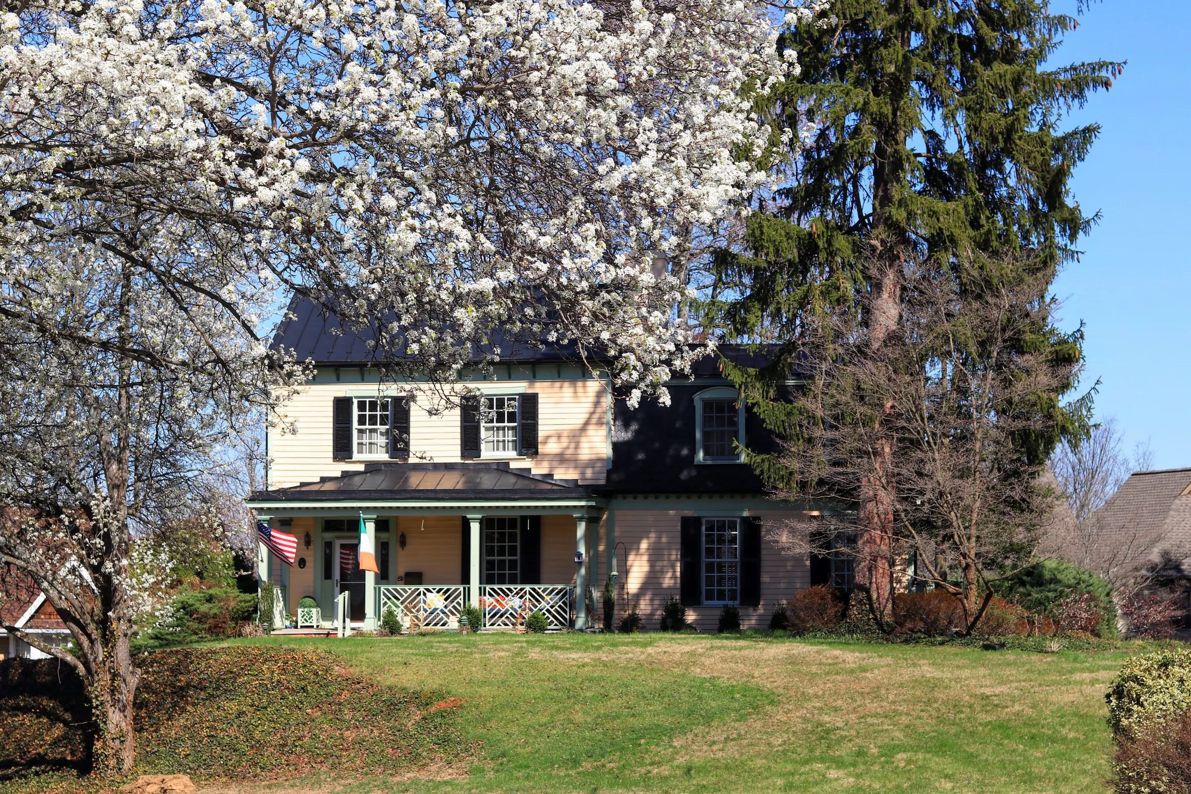 A pale two-storey house with a deep porch behind white flowering trees and a green lawn