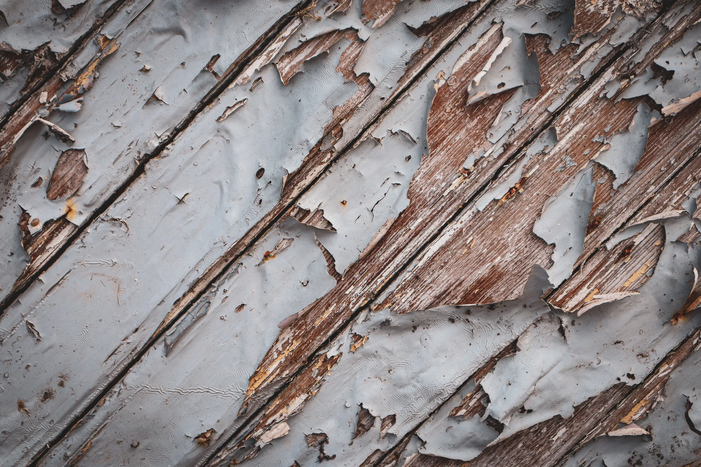 Old pale grey paint cracked and lifting in layers off weathered wood boards