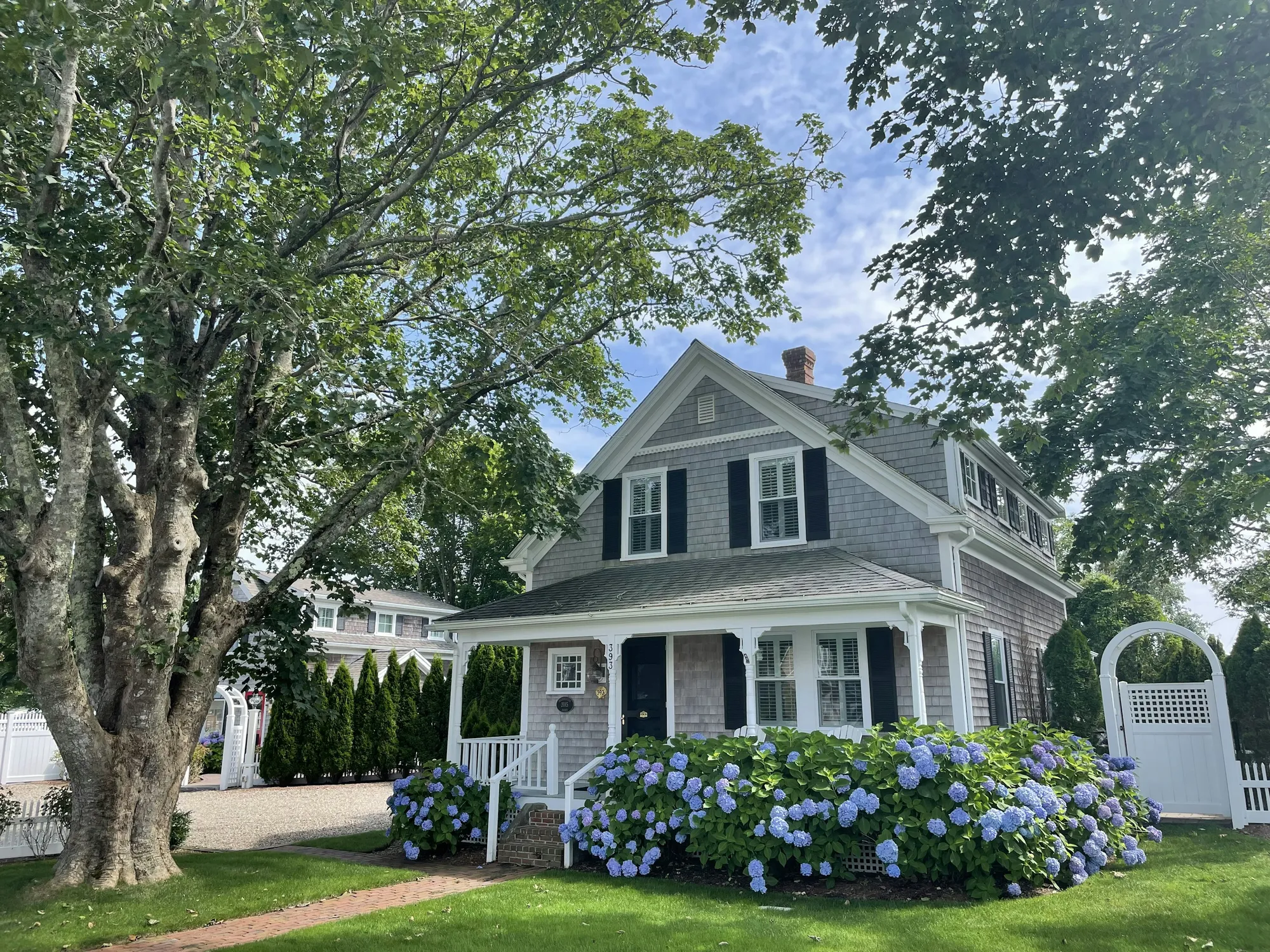 A grey shingled house with a porch and blue hydrangeas beside a large mature tree